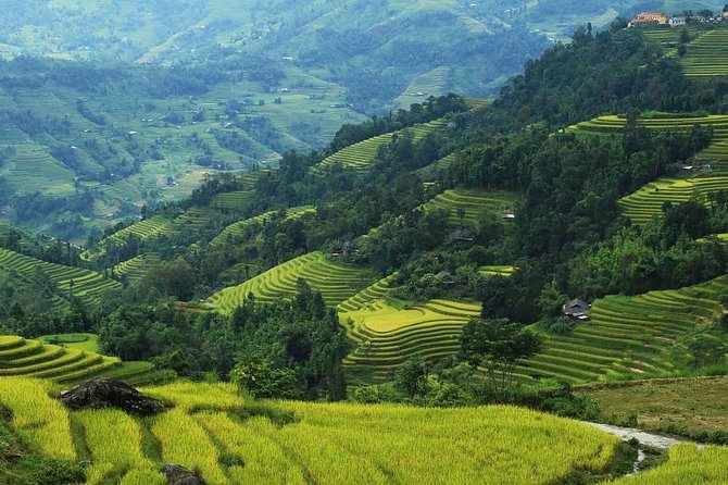 Trekking around Ha Giang 5 days 4 nights - Day 4: Dong Van Old Quarter and the climb toward Ma Pi Leng