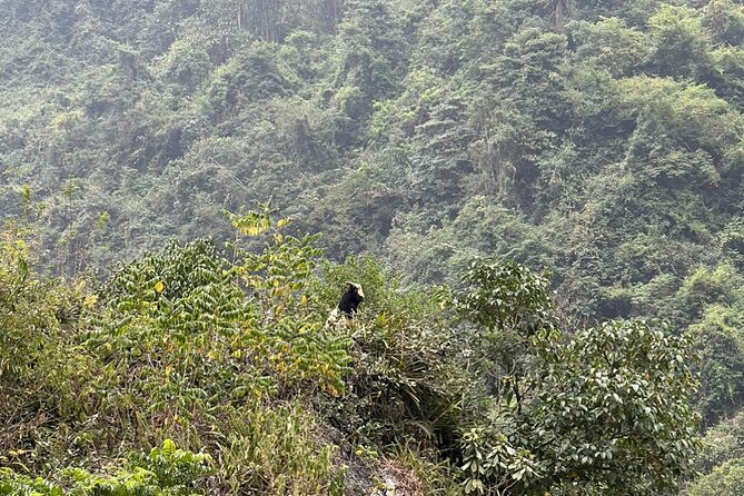 Trekking Ban Gioc Waterfall to Hidden Village on Unique Route - The early ride to Khuoi Ki Stone Village