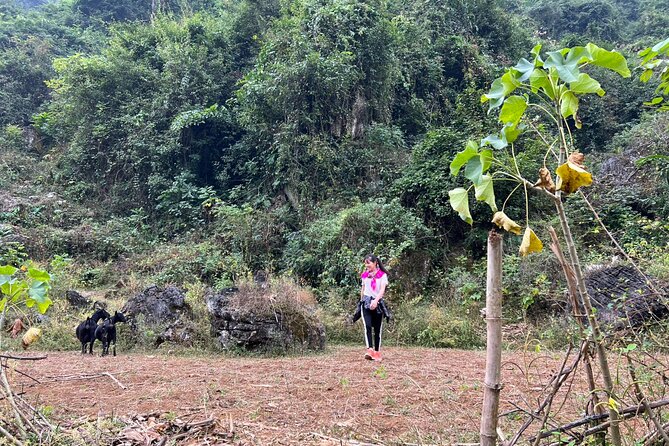 Trekking Ban Gioc Waterfall to Hidden Village on Unique Route - Walking the Quay Son River to Ban Gioc