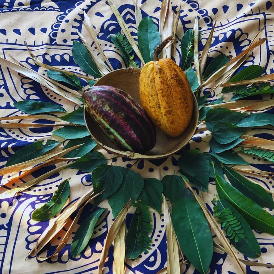 Trekking History and Indigenous Heritage in Minca + Cacao & Coffee + Waterfall - Practical packing advice for Minca