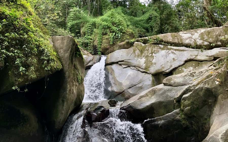 Trekking History and Indigenous Heritage in Minca + Cacao & Coffee + Waterfall - Starting at Minca Central Park