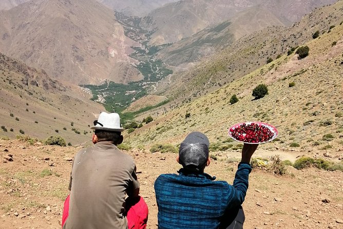 Trekking in Morocco / 3 Days Valley Trek in the Atlas Mountain & Waterfalls - Is $267.13 good value?