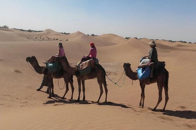 Trekking in Morocco / Atlas Mountains and Sahara Trek (5days) - Day 3: Tichka Pass, Ait Benhaddou, and the Dades Valley