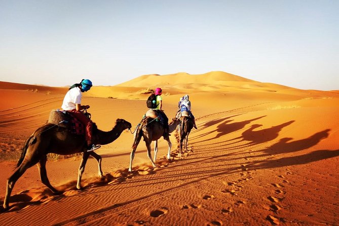 Trekking in Morocco / Atlas Mountains and Sahara Trek (5days) - Day 5: Sunrise, another camel ride, and the long return