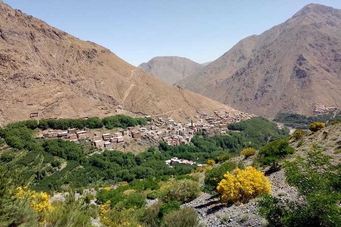 Trekking in Morocco / Atlas Mountains and Sahara Trek (5days) - What the $576.88 price includes