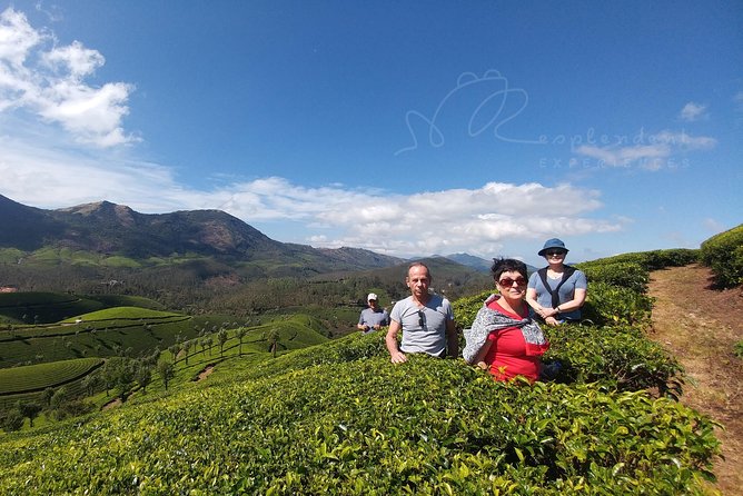 Trekking in Munnar - Why this Munnar trek is worth your morning
