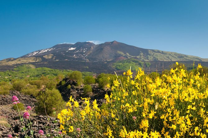 Trekking in the morning on Mount Etna - Weather, altitude, and the right clothing