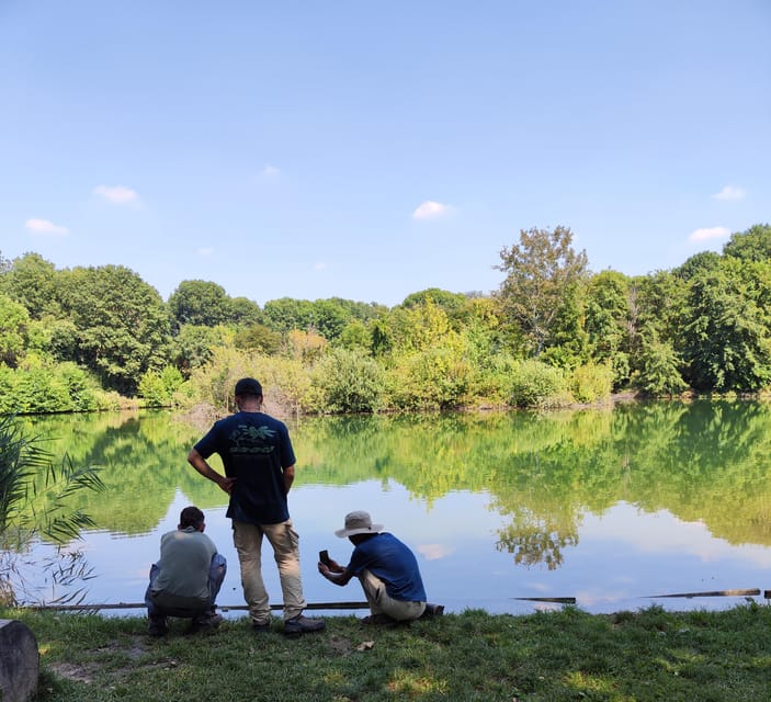 Trekking in the Wood with picnic on the turtles lake - The 20-minute picnic at the turtle lake
