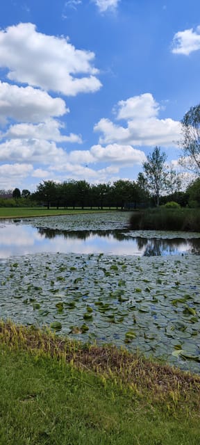 Trekking in the Wood with picnic on the turtles lake - What the $30.10 price really buys