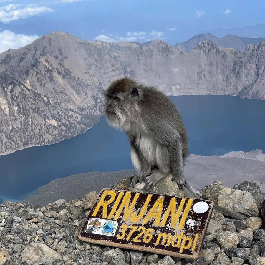 trekking mount rinjani summit join in group tour - Key points at a glance