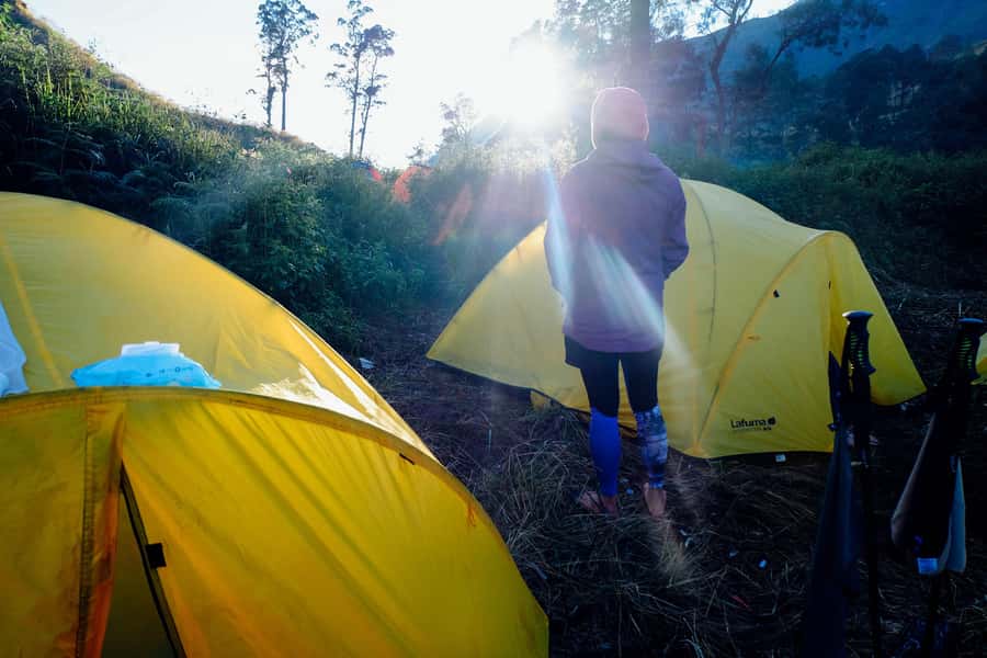 Trekking Rinjani One Day Trek Senaru Crater Rim - Key points to know before booking