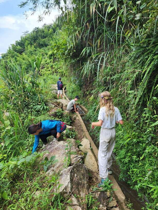 Trekking Sapa 1 Day With Local Guide, Terraced Rice Fields - Crossing The Muong Hoa River And Entering The Mountains