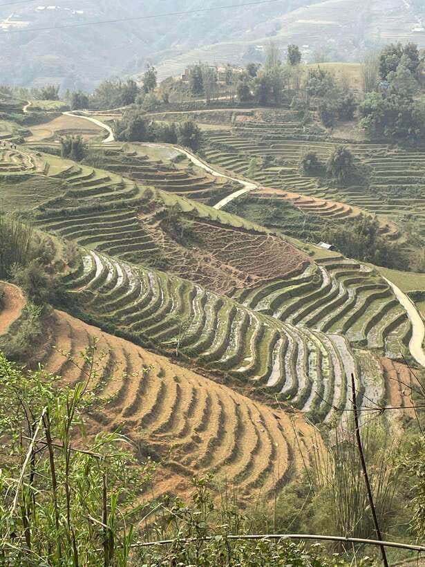 Trekking Sapa 1 Day With Local Guide, Terraced Rice Fields - Y Linh Ho And Lunch With A Hmong Family