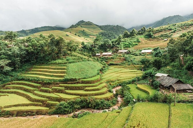 Trekking Through Rice Terraced Fields - 1Day - What makes this Sapa trek worth considering