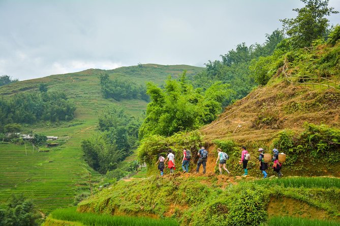 Trekking Through Rice Terraced Fields - 1Day - Lao Chai and the Black Hmong: lunch with a cultural lesson