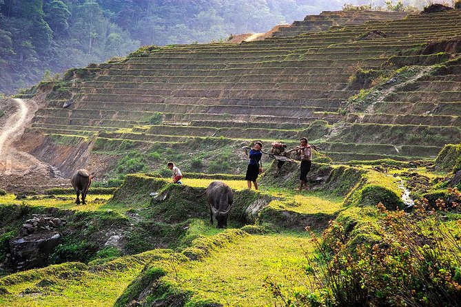 Trekking Through Rice Terraced Fields - 1Day - The value of $45 per person