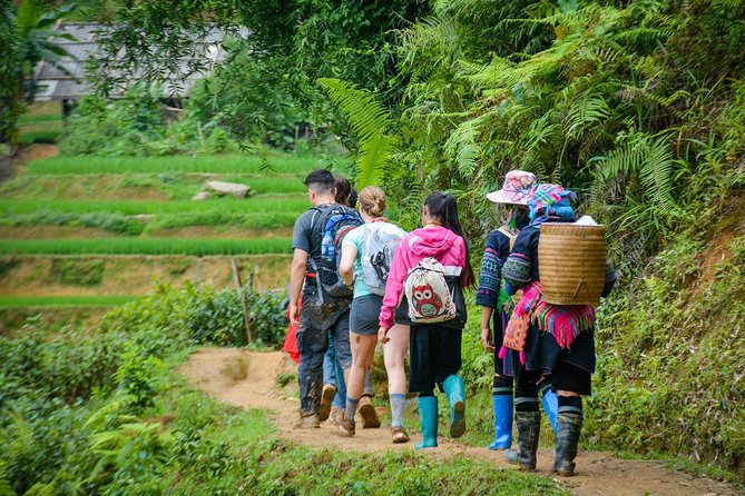 Trekking Through Rice Terraced Fields - 1Day - Who will enjoy this experience most?