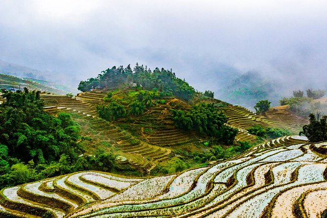 Trekking Through Rice Terraced Fields - 1Day - Booking details that matter