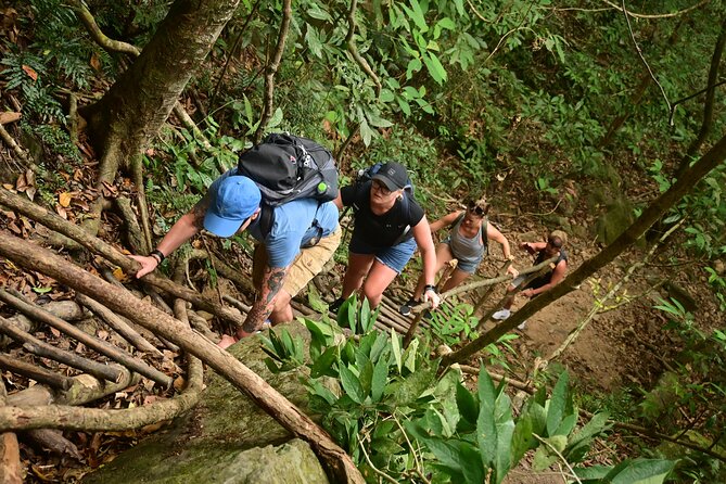 Trekking Tien Son Dinh Phu Quoc - Climbing Tien Son Dinh through the forest