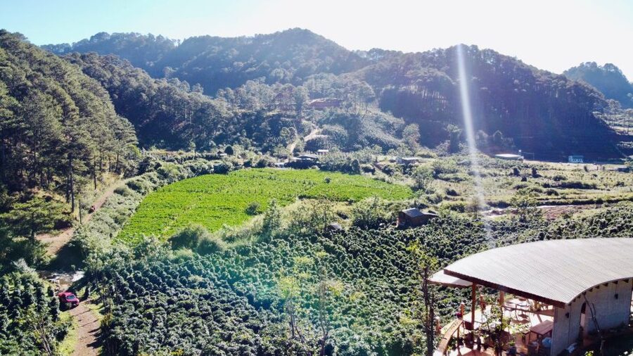 Trekking to Hidden Waterfall & Sturgeon Farm for dog-lovers - Key things to know before you go