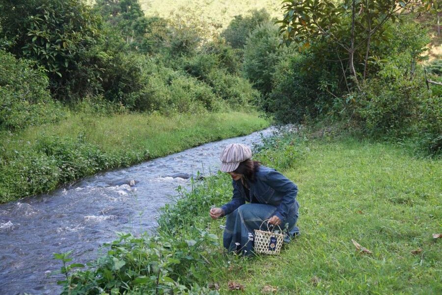 Trekking to Hidden Waterfall & Sturgeon Farm for dog-lovers - Leaving Da Lat for Twin Beans Farm