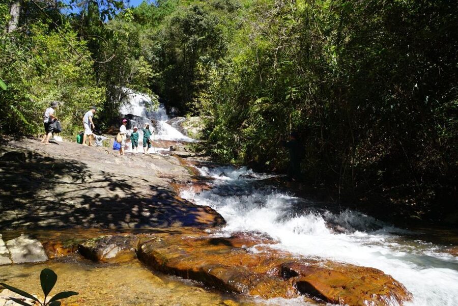 Trekking to Hidden Waterfall & Sturgeon Farm for dog-lovers - The first 30 minutes through the forest