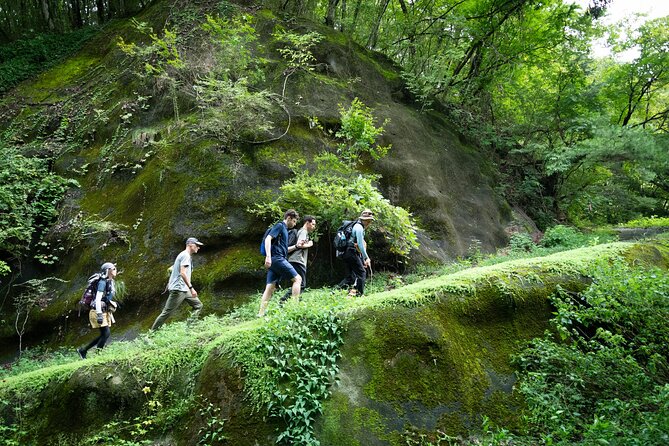 Trekking Tour to Faith, Ancient Paths and the Falls from Hitachi - The Kuji River train ride to Mito