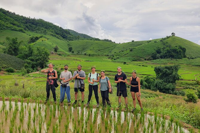Trekking with Lunch cooked by Bamboo in the Chiang Rai jungle - Five useful things to know before you book
