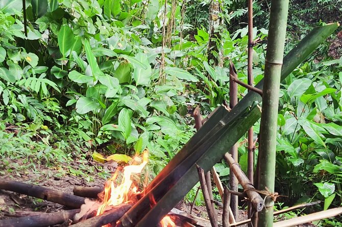 Trekking with Lunch cooked by Bamboo in the Chiang Rai jungle - Who should book this trek?