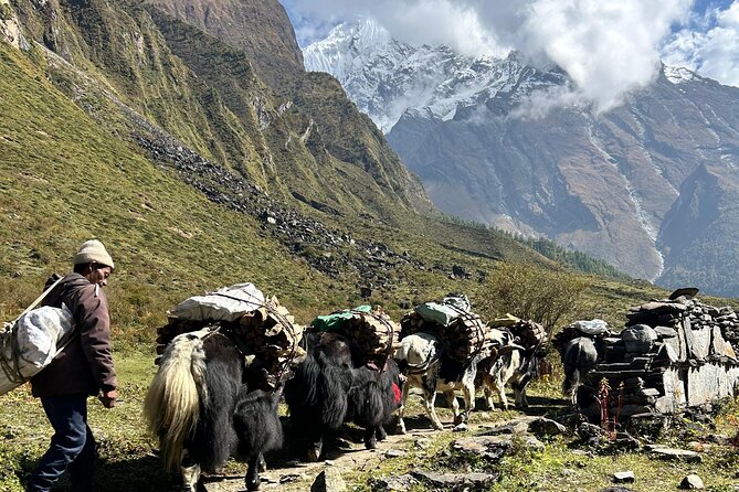 Tsum Valley Trekking - Chumling marks the cultural change