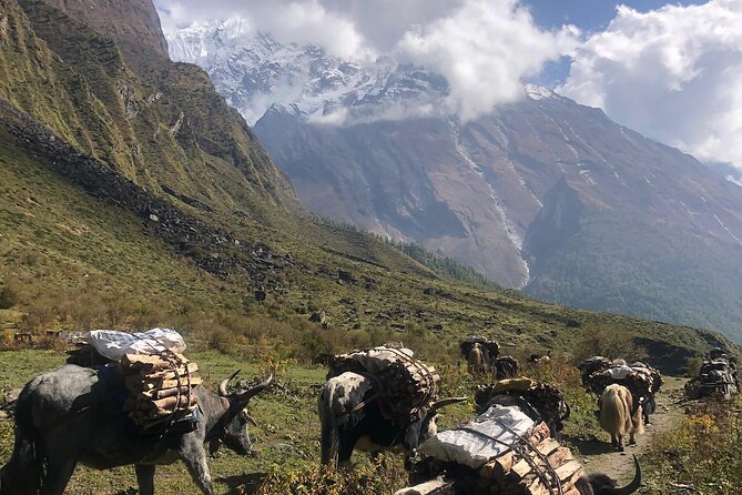 Tsum Valley Trekking - Milarepa Cave and Nile are the spiritual high points