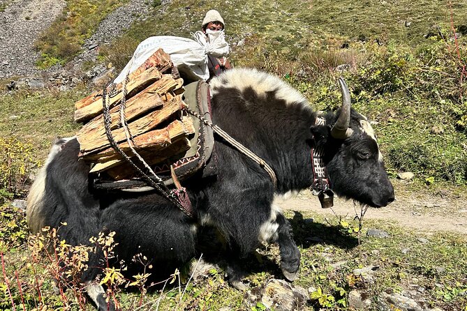 Tsum Valley Trekking - Rachen Gompa adds a different Buddhist perspective