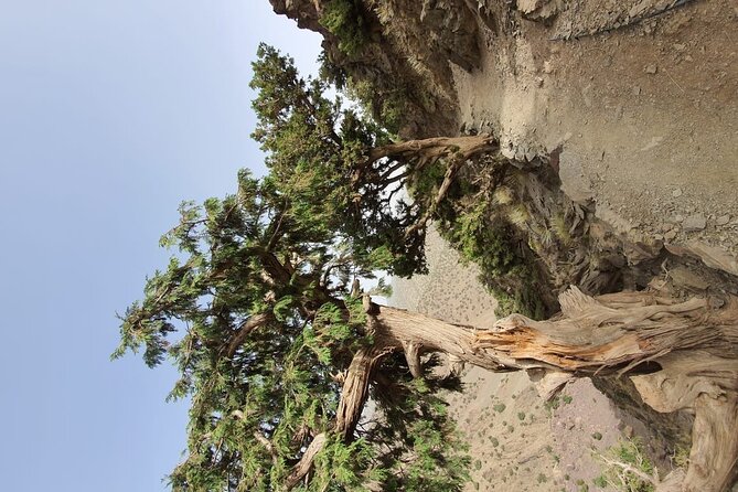 two days valley trek in the Atlas mountains - The real difficulty: heat, distance, and altitude