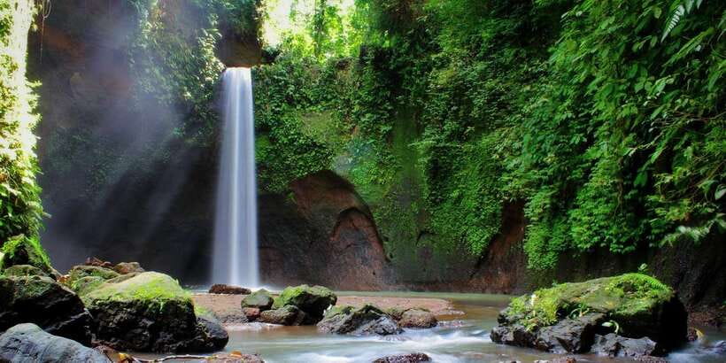 Ubud: Rice Terrace, Holy Water Temple & Waterfalls Trek Tour - What to bring for a smoother day