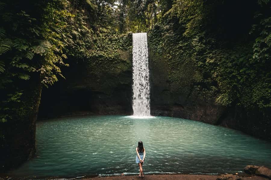 Ubud: Rice Terrace, Holy Water Temple & Waterfalls Trek Tour - Why this Ubud route works