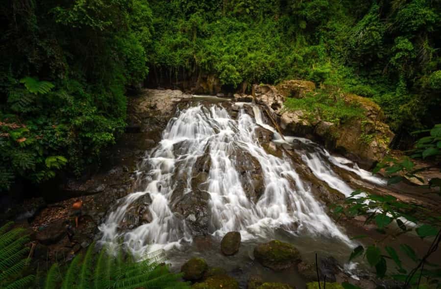 Ubud: Trekking Through Rivers & Forests to Three Waterfalls - Is $19 a good value?