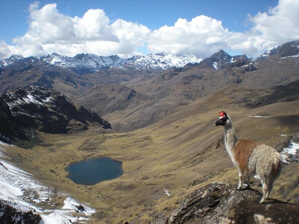 Ultimate Lares Trek & Inca Trail 5 days - Key points before you book