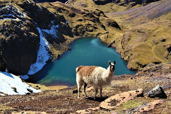 Ultimate Lares Trek & Inca Trail 5 days - Day four: The Short Inca Trail and the Sun Gate