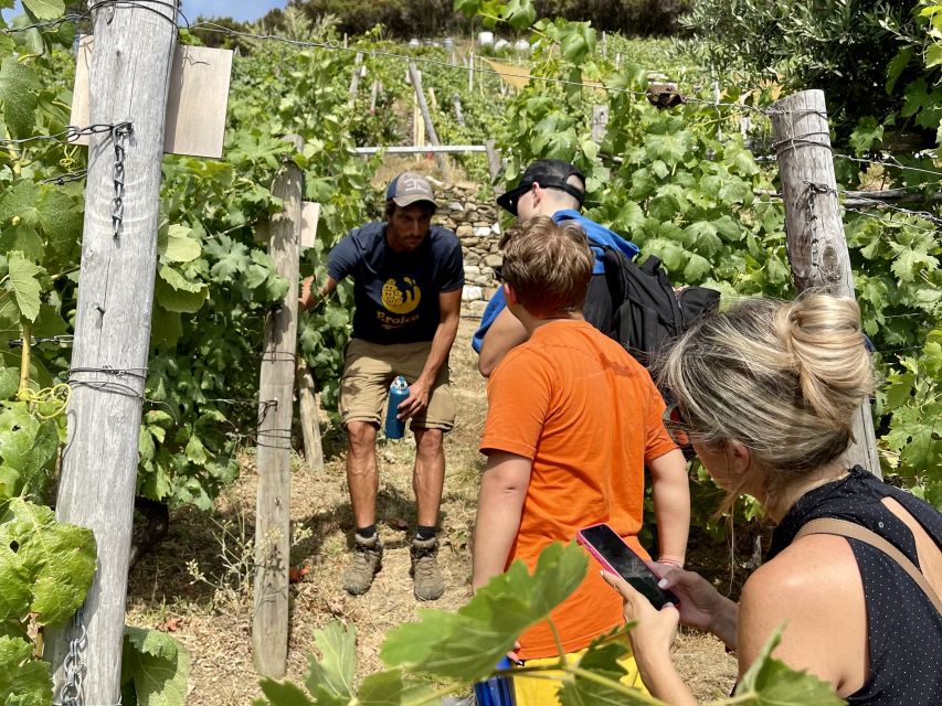 Vernazza: Panoramic Vineyard Trekking Tour w/ Wine Tasting - Meeting Luca in Vernazza