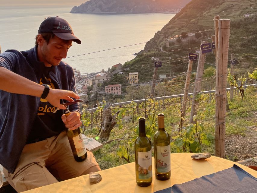 Vernazza: Panoramic Vineyard Trekking Tour w/ Wine Tasting - Why the vineyard setting matters