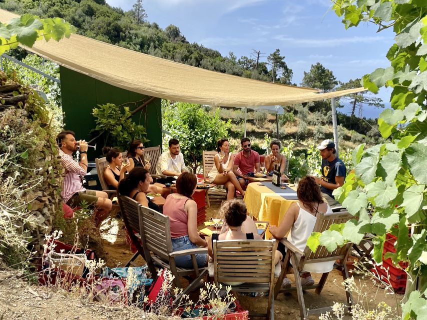 Vernazza: Panoramic Vineyard Trekking Tour w/ Wine Tasting - Three wines with pesto, focaccia, and local bites