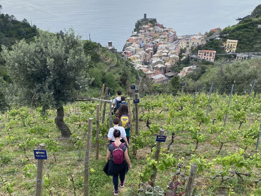 Vernazza: Panoramic Vineyard Trekking Tour w/ Wine Tasting - The view from Eroico Vineyard