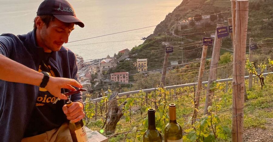 Vernazza: Panoramic Vineyard Trekking Tour w/ Wine Tasting - The 30-minute climb above Vernazza