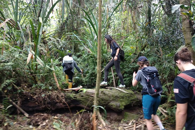 volcano hike and jungle trekking adventure - Reaching the Mount Salak crater