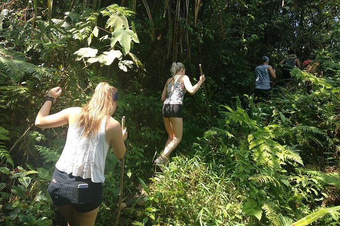 volcano hike and jungle trekking adventure - Waterfall swim and geothermal hot springs