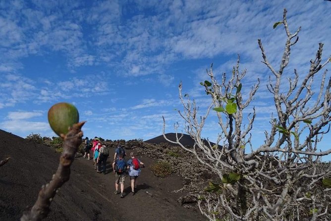 Volcano Trekking Tour (Timanfaya eruptions) - A short walk into 300 years of volcanic change