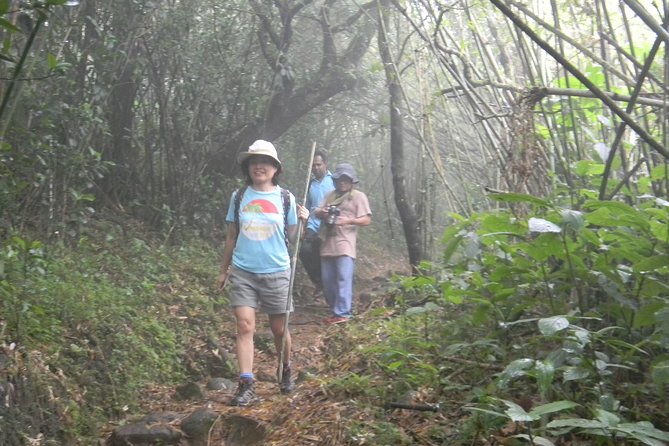 Waterfall Trekking in Knuckles Mountain Range - Why Knuckles makes a strong day trip from Kandy