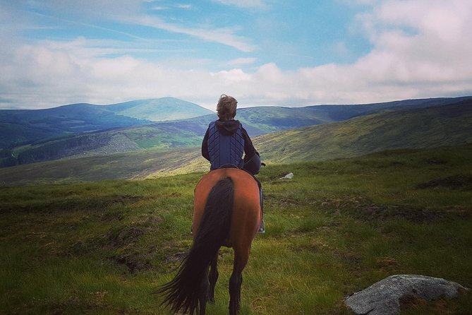 Wicklow Mountains Horse Trekking - Key points at a glance