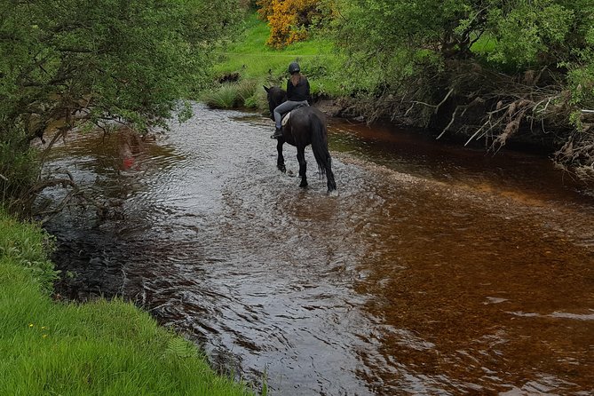 Wicklow Mountains Horse Trekking - What the ride is really like