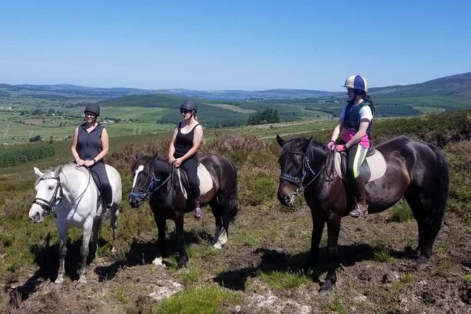 Wicklow Mountains Horse Trekking - Riding through the Wicklow Mountains and Kings River Valley
